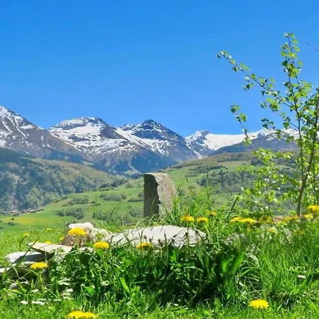 Apartamento In With Garden Bbq Views Disentis