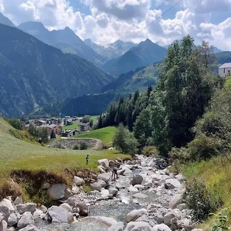 In With Garden Bbq Views Disentis