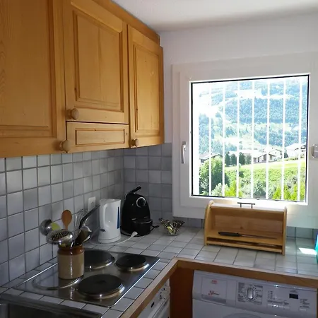 In With Garden Bbq Views Apartment Disentis