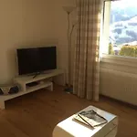 Segnas Mountain Apartment Disentis
