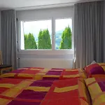 Apartman Segnas Mountain Apartment *